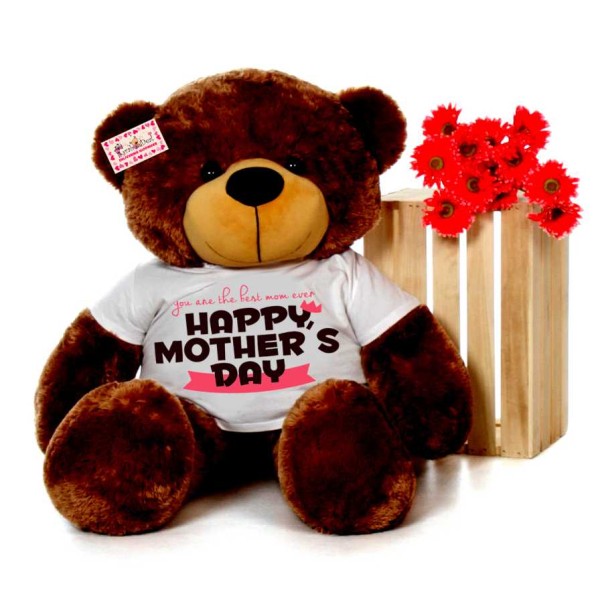 4 feet big brown teddy bear wearing You are the best mom ever Happy Mothers Day T-shirt